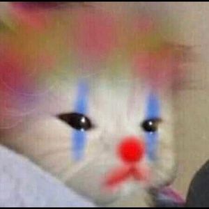 Meet your Posher, Cynthia